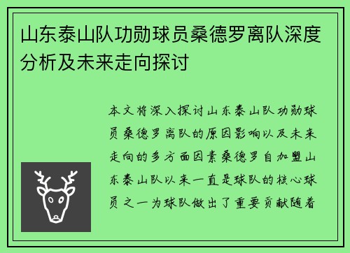山东泰山队功勋球员桑德罗离队深度分析及未来走向探讨
