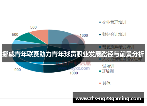 挪威青年联赛助力青年球员职业发展路径与前景分析