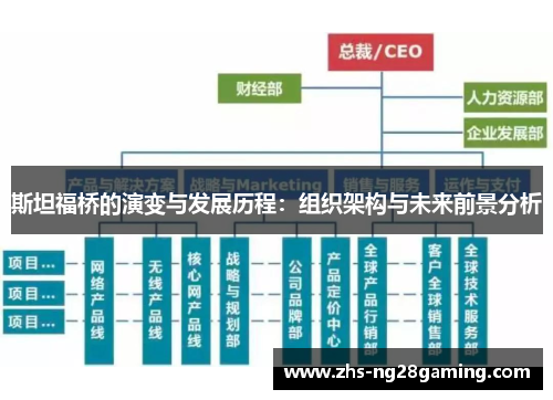 斯坦福桥的演变与发展历程：组织架构与未来前景分析