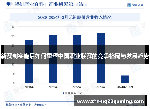 新赛制实施后如何重塑中国职业联赛的竞争格局与发展趋势