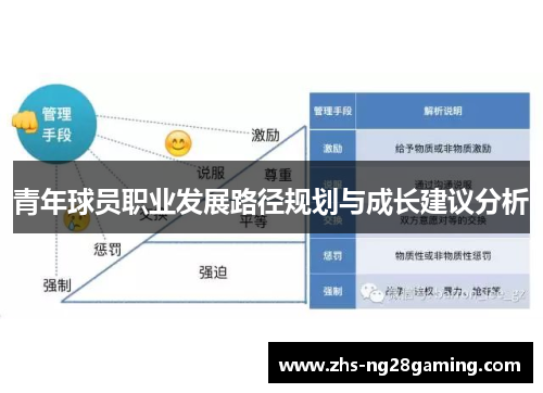 青年球员职业发展路径规划与成长建议分析